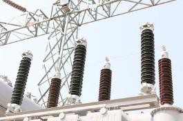 Lightning Arrester